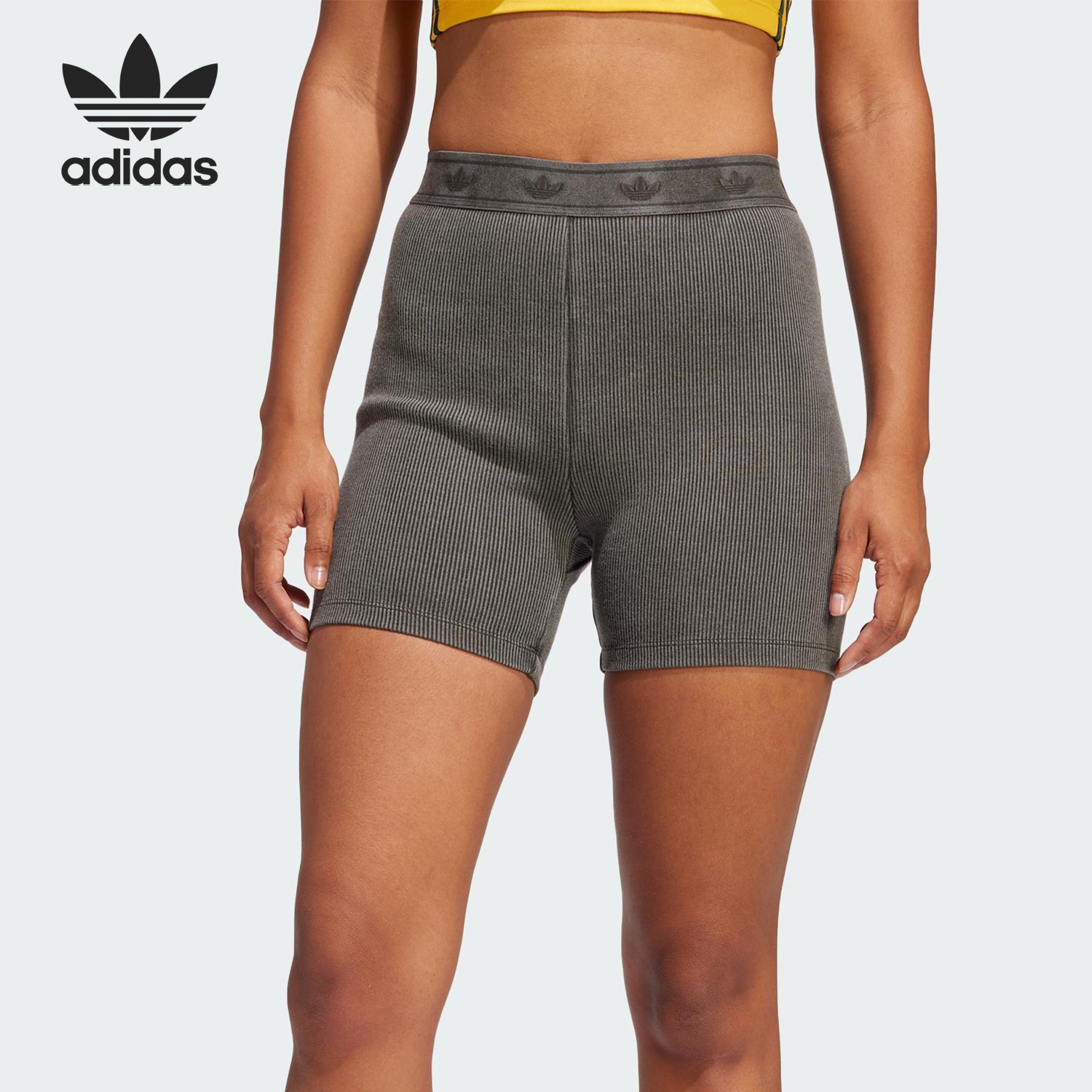 Adidas/阿迪达斯正品三叶草女士经典紧身针织运动短裤JC7554