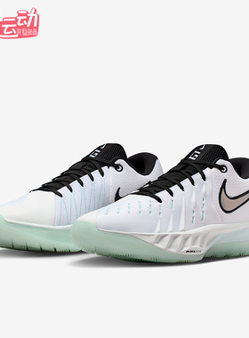 Nike/耐克正品四季款男士耐磨低帮经典轻便运动篮球鞋HV9775-101