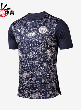 Puma/彪马正品2025男士日常圆领套头耐穿透气足球短袖758030-09