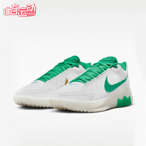 Nike/耐克正品LEBRON WITNESS IX EP男士经典篮球鞋HQ8035-101