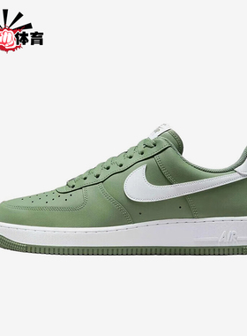 Nike/耐克正品2025秋季款男士日常低帮系带透气板鞋FJ4146-301