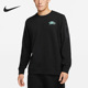 Nike 010 CREW户外训练圆领男子运动卫衣DQ7867 耐克正品 FLC
