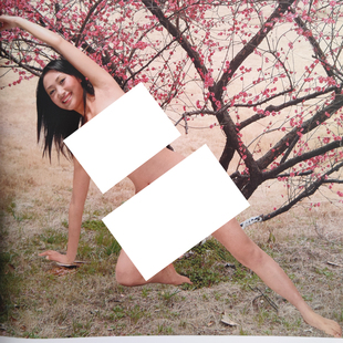 400多页全三本大【清妍】【荷】【雅苑】美女画册16开143页铜版纸