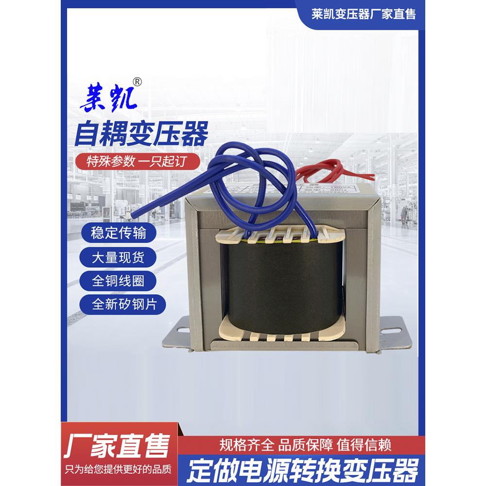 定制自耦电源变压器220V转110V/100V380转220V/110V进口电器转换
