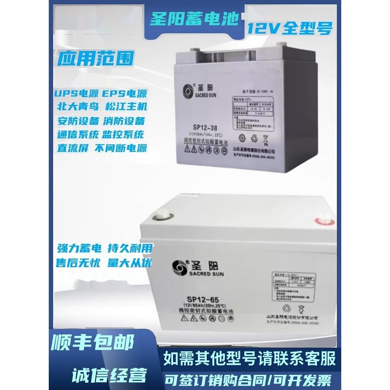 圣阳SP12-100阀控密封式铅酸蓄电池24/38/65120/12V200AH备用电源