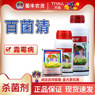 日本 达科宁40%百菌清西红柿黄瓜辣椒叶斑病霜霉炭疽病农药杀菌剂