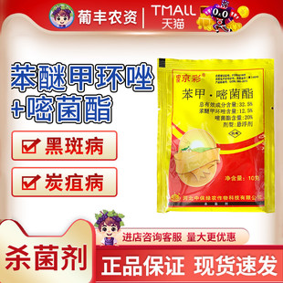 中保京彩 苯醚甲环唑嘧菌酯西瓜炭疽病农药杀菌剂10g