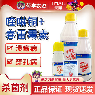 台湾 兴农永福 春雷霉素喹啉铜溃疡病桃树细菌性穿孔病农药杀菌剂