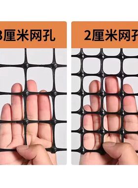 塑料网格土工格栅圈玉p米网养鸡围网大棚兜水网栅栏小孔养殖网护
