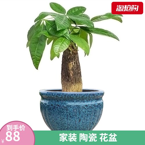 户外庭院特大落地花盆大口径阳台种树花缸L绿植发财树盆栽特深花