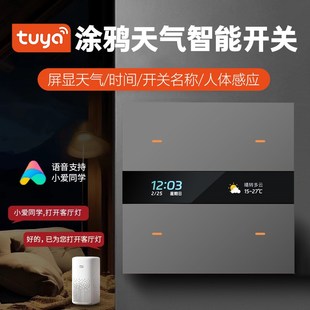 涂鸦zigbee智能开关s面板带天气时间编辑文字人体感应液晶显示屏