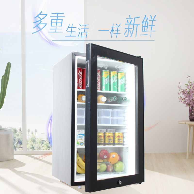 幼儿园食品留样柜饮料冷柜小冰箱B小型家用商用冷藏保鲜展示柜带