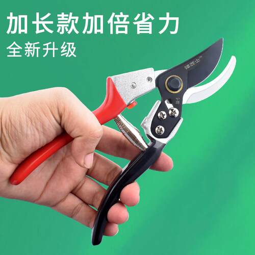 果树修枝剪树枝专用花艺剪子省力剪枝园林工具花剪修剪园艺剪刀