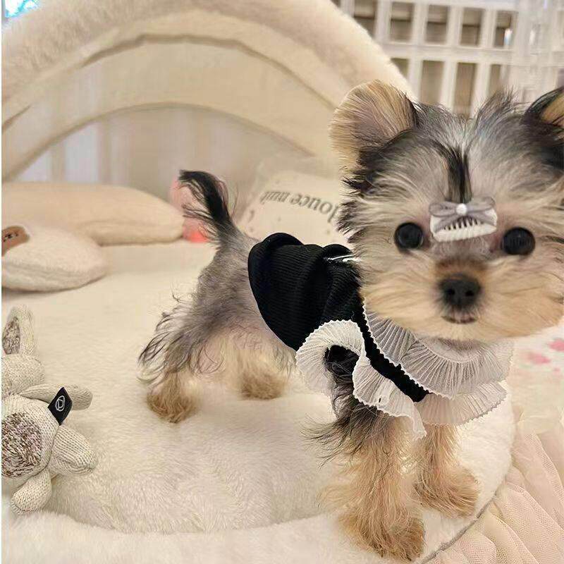 约克夏专用衣服超小体犬薄款透气背心小狗狗奶狗一斤内夏天夏季款