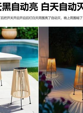 GQB户2025编新款阳能外灯家用庭院落地造景布置氛围草太坪藤照明