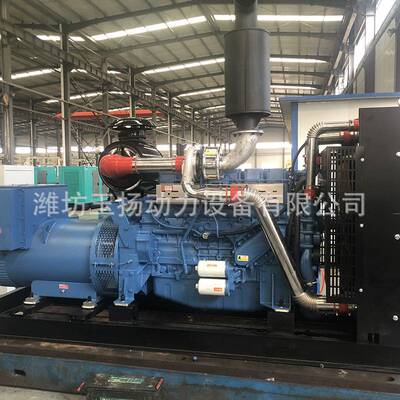 小区备用发电机组 200KW千瓦揭阳山塘水库民宿山庄园设备应急发电