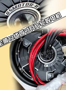 全顺12凌寸四代轮毂W瓦片电机2000P/300/0WP6000WP可选配博控AIC