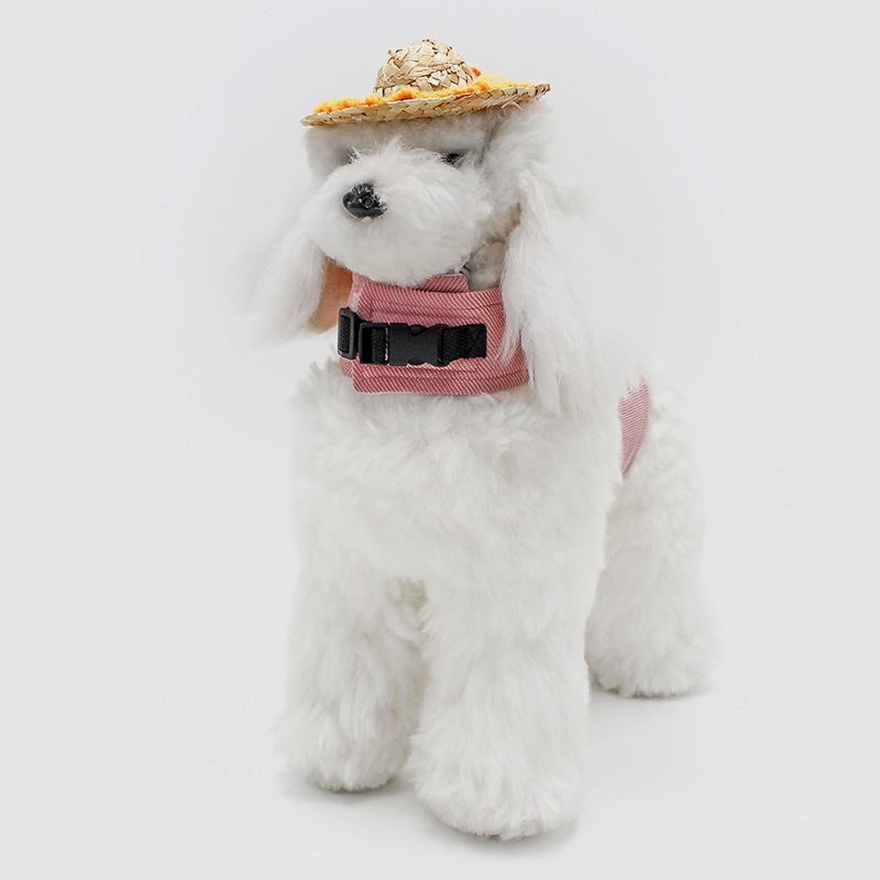 狗狗牵引绳背心式泰迪小型犬防挣脱宠物胸背带狗链户外遛狗绳用品