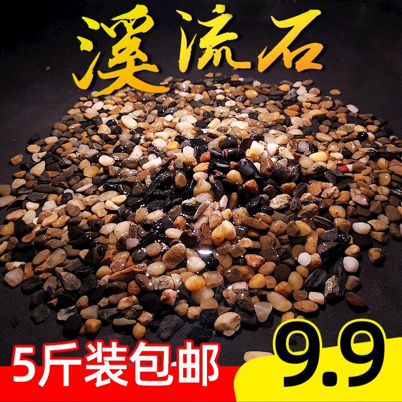 鱼缸底砂造景沙溪流石石头子铺底水族箱生态底沙造景石装饰雨花石,宠物/宠物食品及用品,造景/装饰,淘宝优惠券,粉丝福利购,淘宝优惠卷