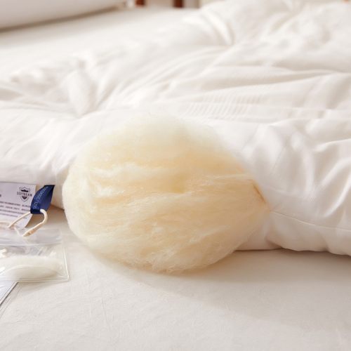 2021款全棉提花大豆被芯全棉大豆春秋被大豆纤维加厚冬被有检测口