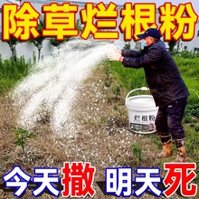 环泰铜除草烂根剂一扫三年不长草光烂根粉强力灭树粉散装除草正品