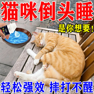 猫咪麻醉镇定剂快速睡眠宠物洗澡剪指甲救助猫咪情绪舒缓剂防应激