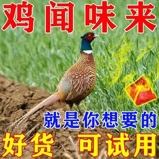 野外飞禽养殖场捕家鸡神器2025新款羽毛伴侣鸟粮食养殖场鸡鸭鹅用