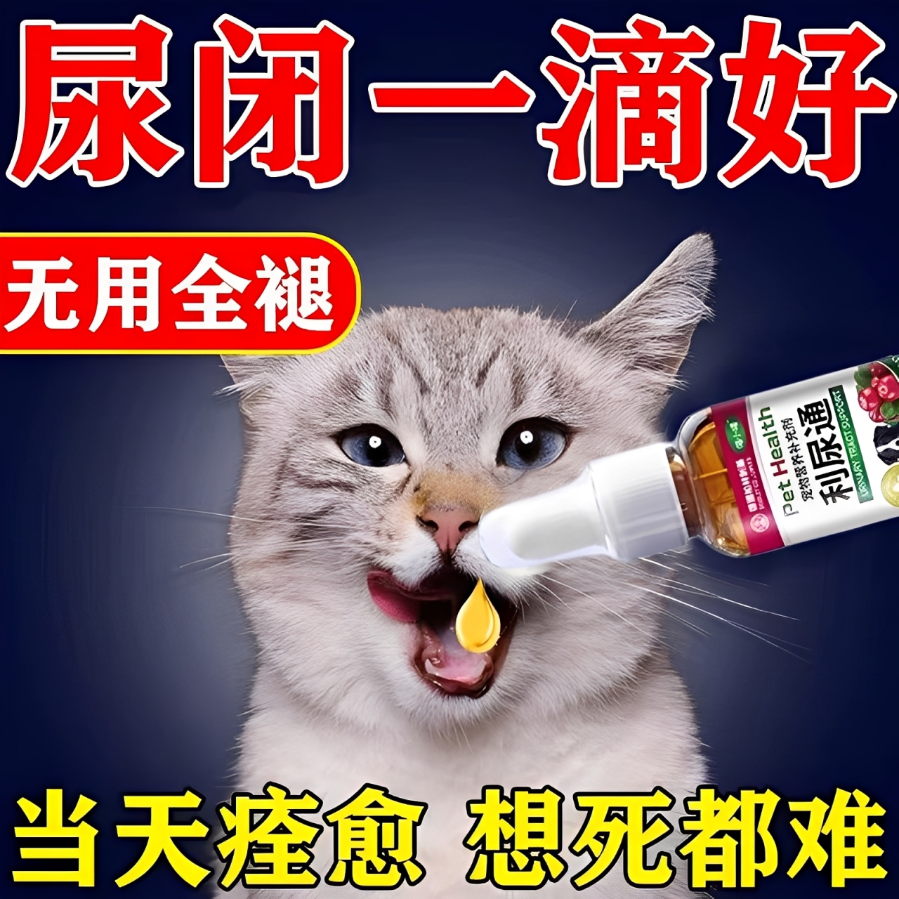 猫咪尿频尿血猫尿闭药宠物犬尿道炎膀胱炎尿路感染狗狗消炎利尿通