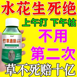 水花生克星烂根剂强力除草专用药一扫光不伤苗革命莲子水葫芦专杀