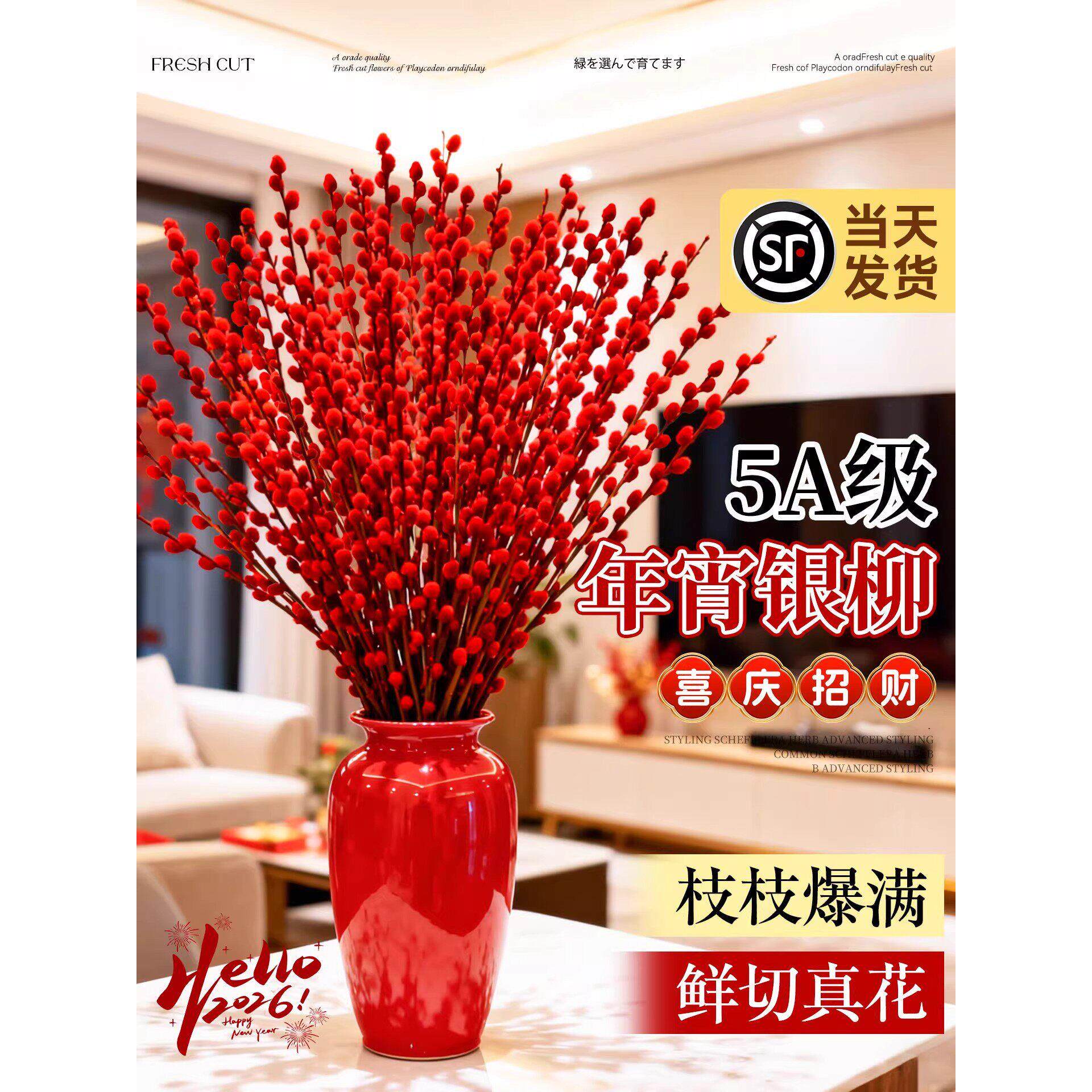 银柳鲜枝真花干花客厅旺宅摆件室内花卉植物鲜花绿植过新年宵花束
