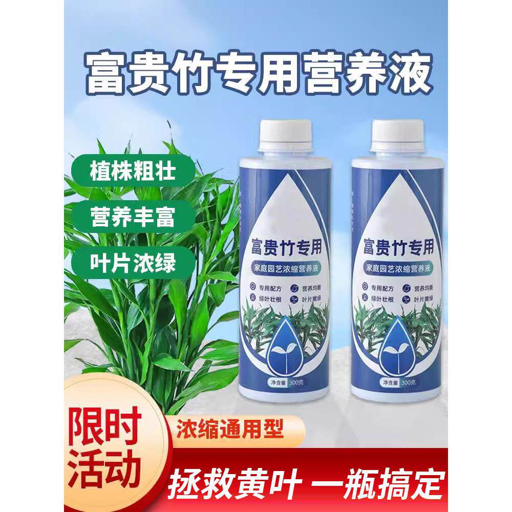 富贵竹专用营养液水培治黄叶促生根转运竹观音竹家用盆栽通用肥料
