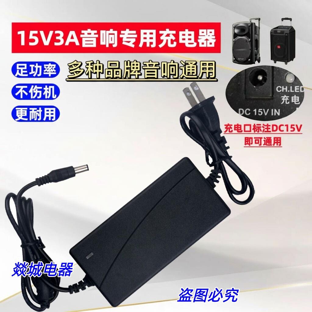 山水移动音响音箱SS1-10 SS1-3/06/08电源适配器15V3A充电器线适用0286