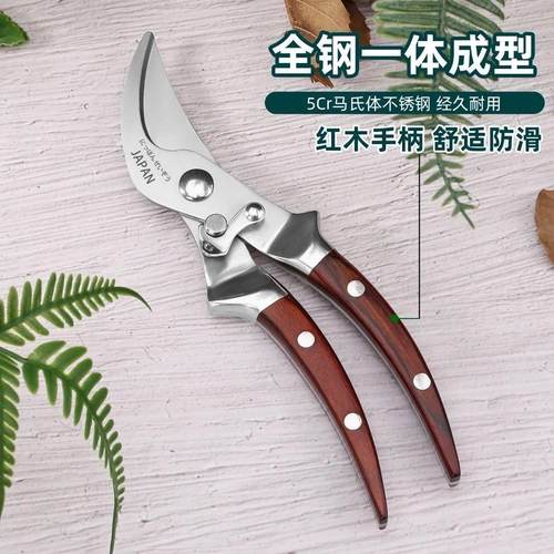 进口全钢红木柄家用修枝剪园艺省力花艺园林果树修剪树枝修花剪刀