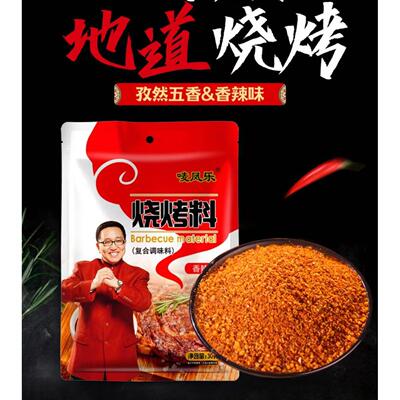 唛凤乐烧烤料十八包撒料组合家用装明星句号代言