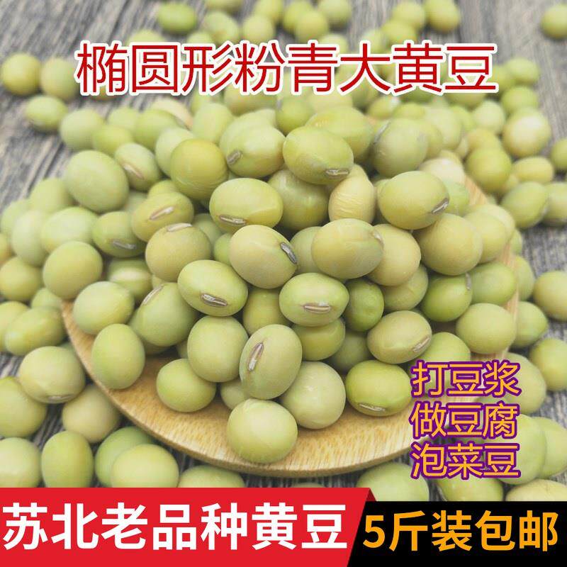 新黄豆5斤 农家自种粉青大黄豆新品正品老品种青大豆青皮黄豆包邮