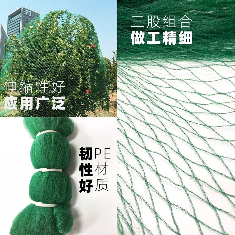 现货速发防鸟用的网樱桃丝网果园盖树嘉宝网遮树草莓果树网罩菜园