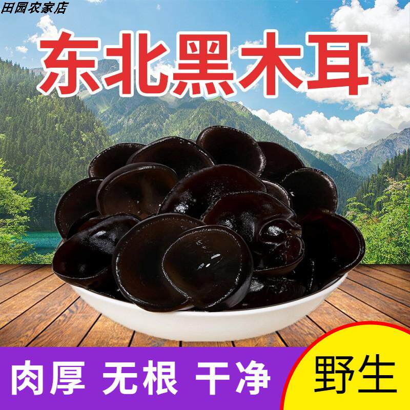 吉林500g东北黑木耳特产级野秋木耳凉拌肉厚生小碗耳干货散装新货