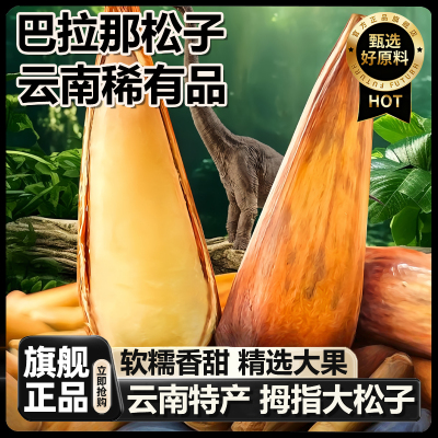 【孕妇级零食】云南巴拉那松子