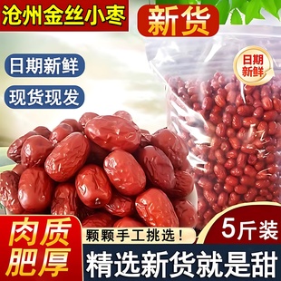 新货新疆金丝小枣农家自产小红枣子零食打豆浆泡茶煲汤煮粥包粽子