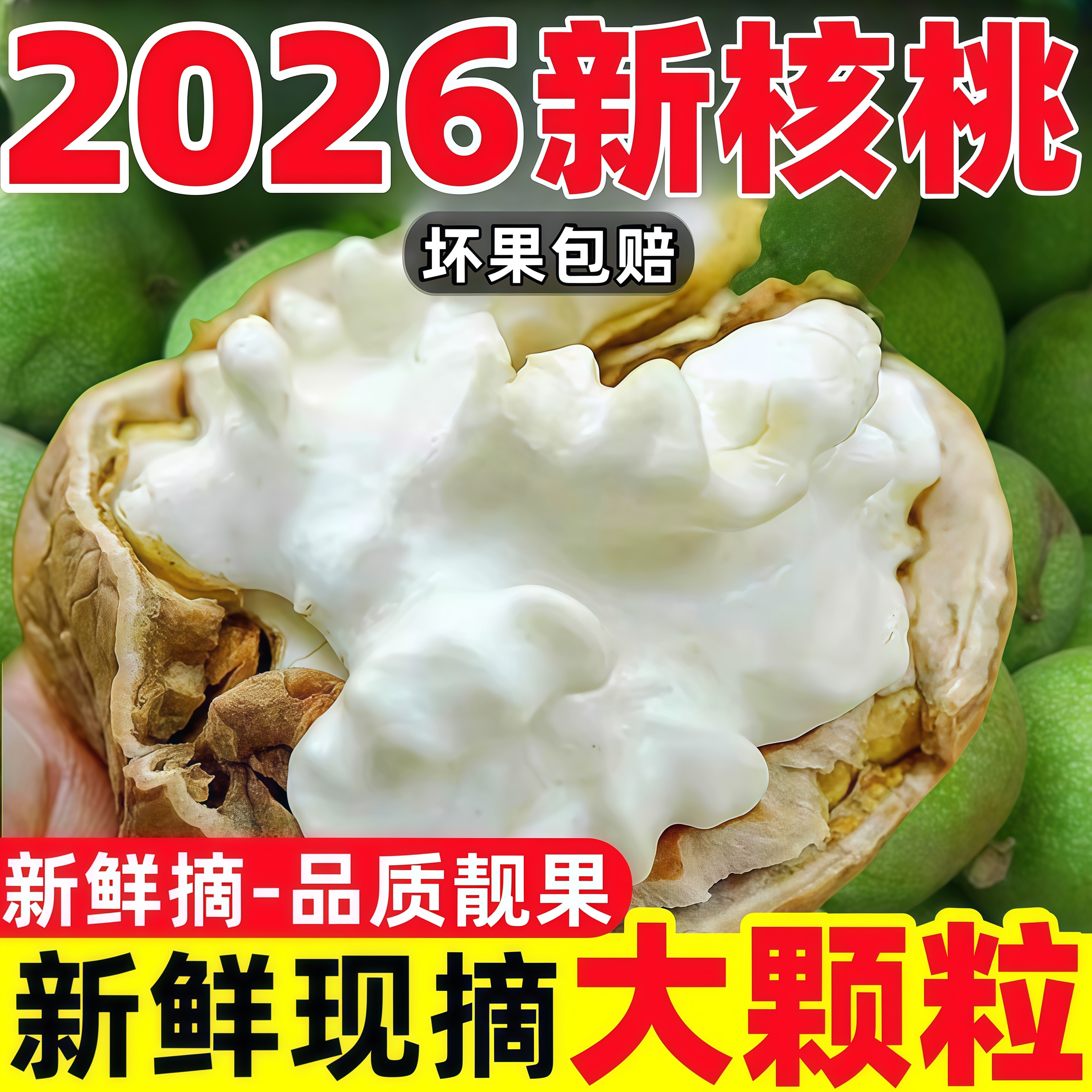 2026年新鲜湿核桃现摘山核桃大凉山核桃去青皮生核桃老树农家核桃