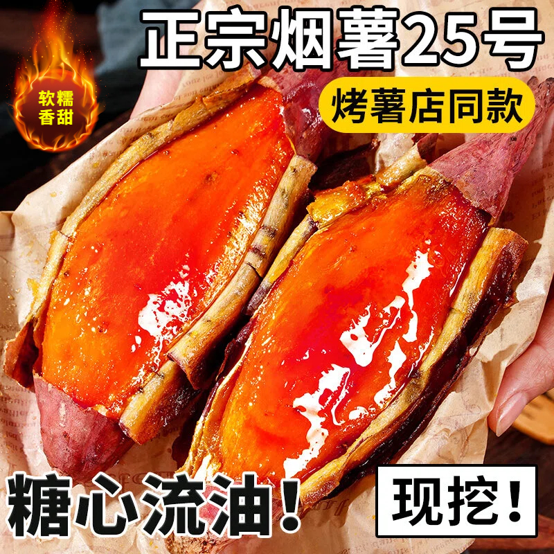 【农科院推荐】山东烟台烟薯25号