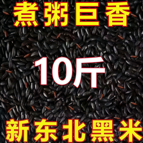 墨黑油亮颗粒饱满谷粒完整甄选黑谷米香浓郁