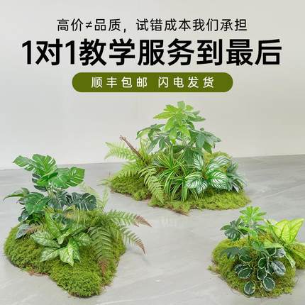 仿真造景绿色蕨类植物高档装饰室内庭院景观氛围感摆件小型假绿植