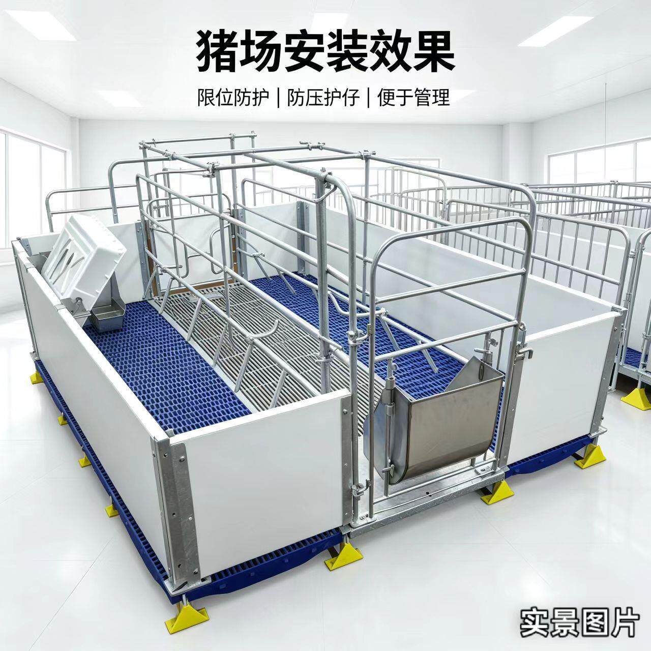 欧式体母猪产床， 防压护仔分娩床 规模化猪场养殖设备