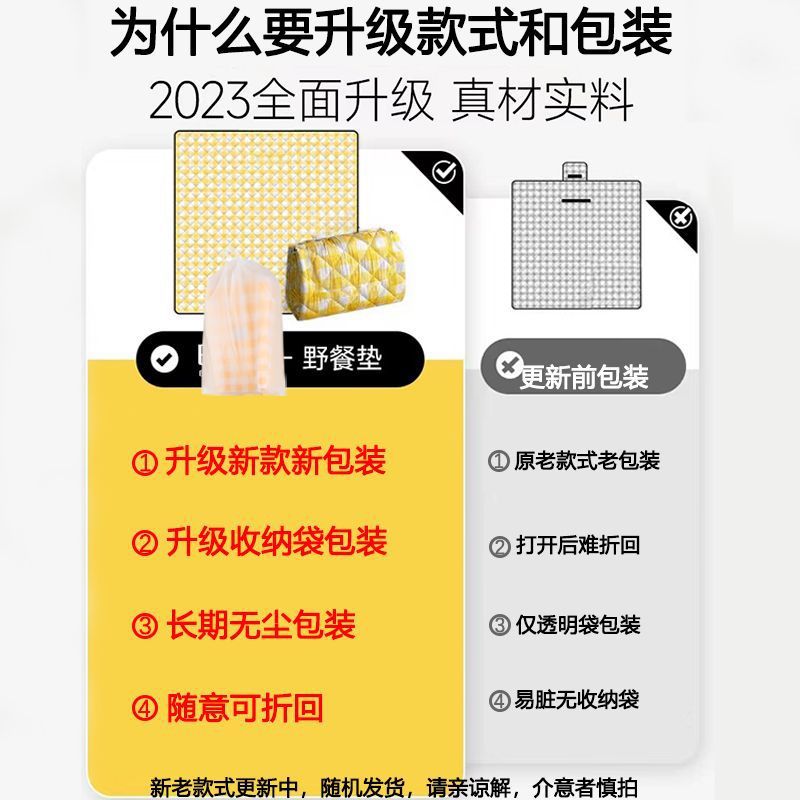 春游垫子野餐垫户外郊游防潮垫加厚防水便携婴P儿爬爬垫公园露营