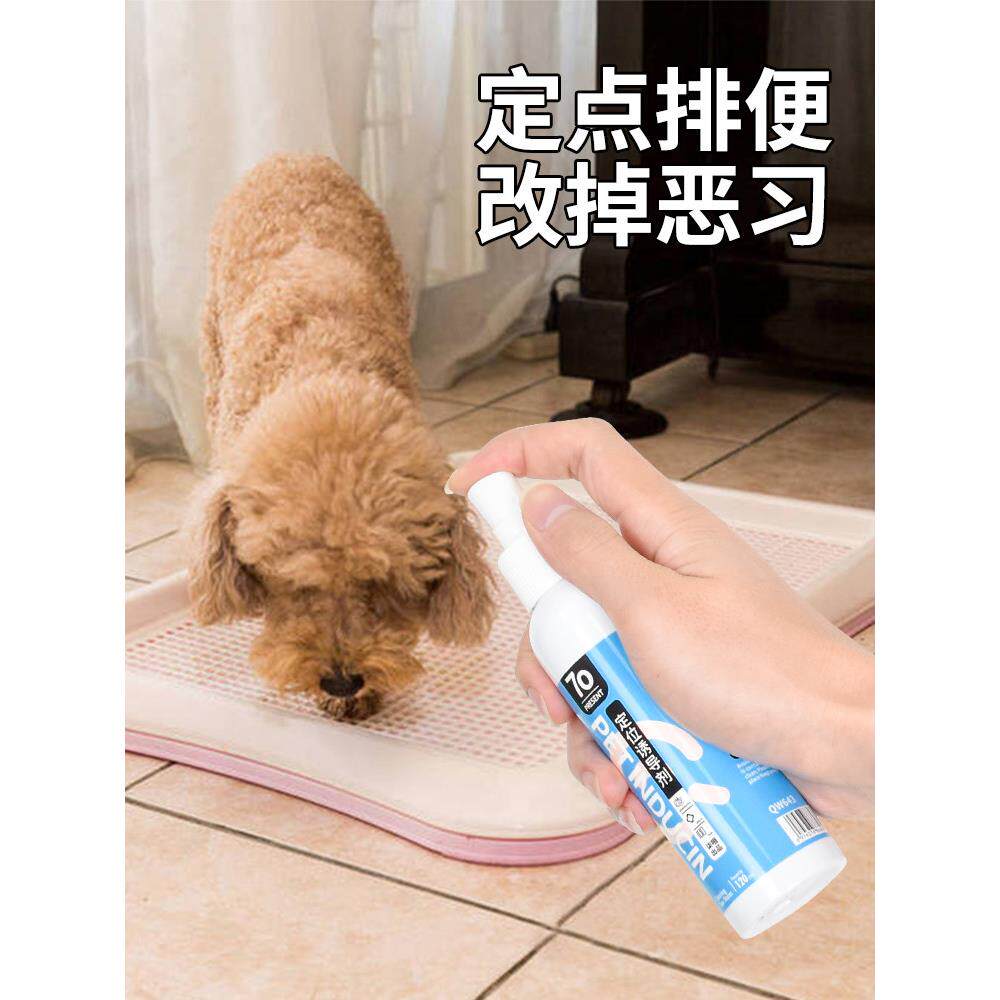 狗狗排便定点诱导剂狗大小便引导神器宠物训练上厕所防狗乱拉屎尿