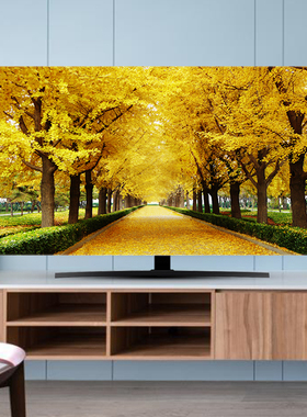 新款电视机罩防尘罩套盖布保护套5z5英寸65寸75寸挂式台式曲屏风