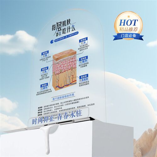 皮肤管理美妆店摆件门店摆件护肤知F识摆件皮肤层级吃什么分层抗