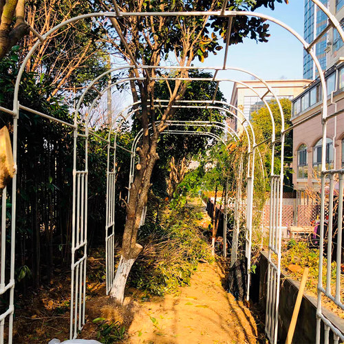 花园植物拱门花架欧式庭院铁艺y户外月季铁线莲攀爬支架爬藤架包