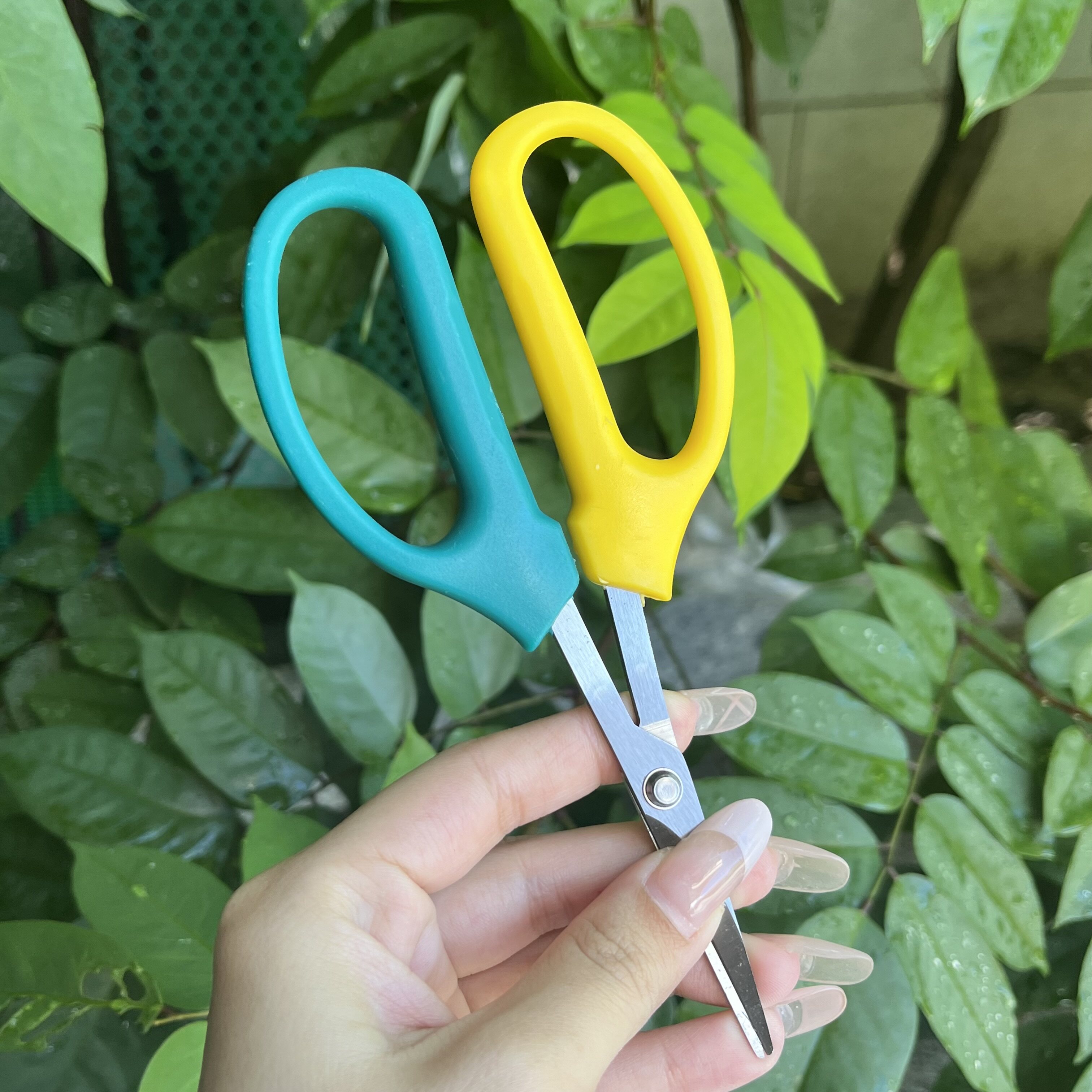 不锈钢园林花艺稀果翘头小剪刀